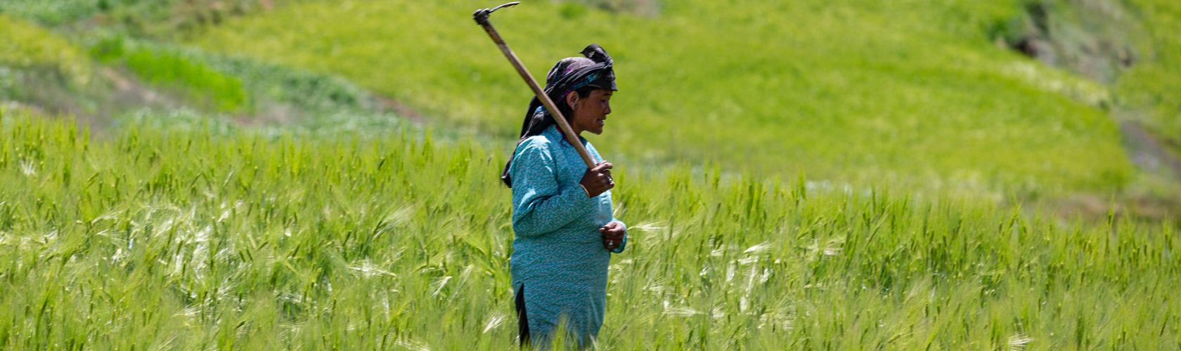 Food fortification - an essential development strategy