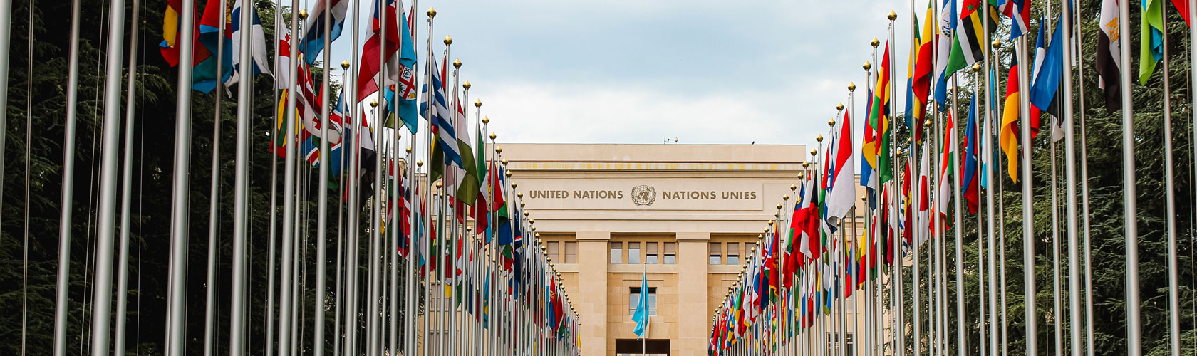 WHA76 Side Event - Accelerating efforts for preventing micronutrient deficiencies and their consequences through safe and effective food fortification