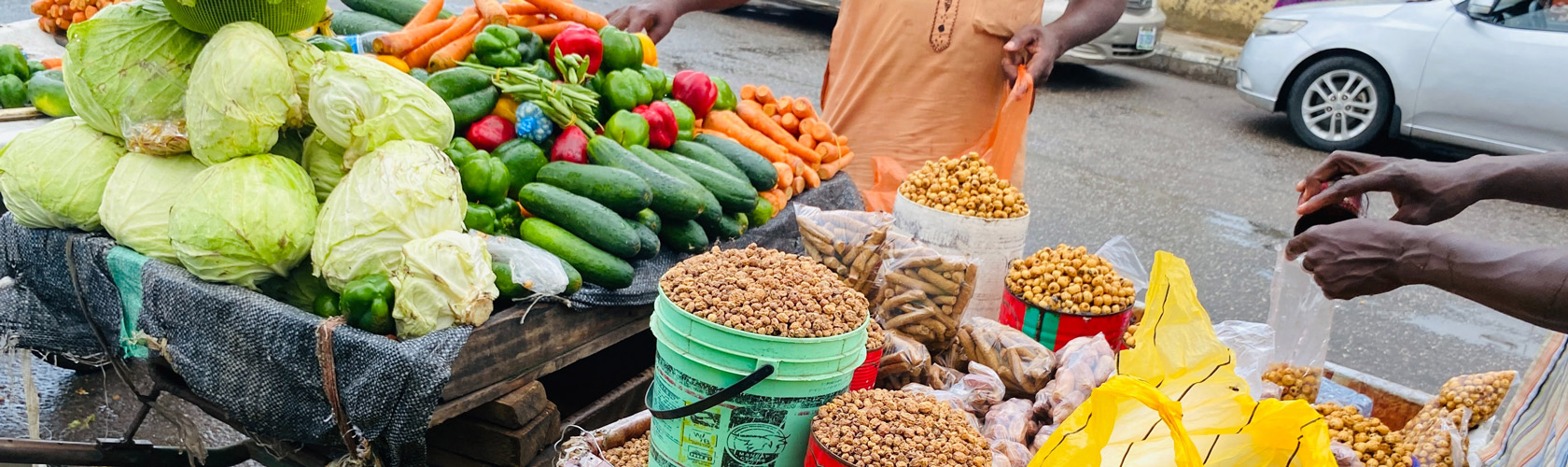 State Launch of EatSafe in Birnin-Kebbi, Nigeria