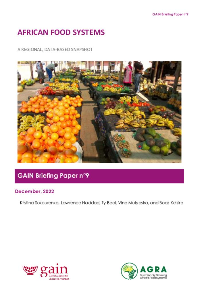 GAIN Briefing Paper Series 9 - Africa Food Systems
