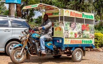 Man on a bike carrying fruits and vegetables Man on a bike carrying fruits and vegetables