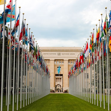 View of the UN palace with flags View of the UN palace with flags