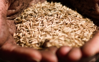 Mighty Nutrients: The Power of Vitamins and Minerals to Unlock Human Potential