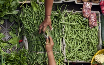 EatSafe Webinar III - Measuring Performance for Food Safety 