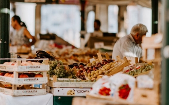 US Release of ‘Nutrition and Food Systems: A Report by the High Level Panel of Experts on Food Security and Nutrition’