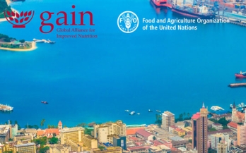 Retail food environment and green spaces for healthy cities: a methodological approach based o