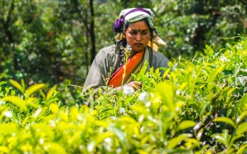 Nutrition at Work Webinar