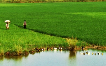 N4G Side Event: Leveraging the Workplace to Bring Improved Nutrition to Millions of Employees