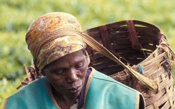 Responsible agricultural investment