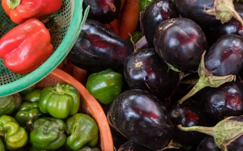 SUN Business Network (SBN)