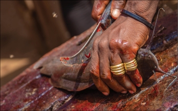 Foodborne zoonoses control in LMICs: Identifying aspects of interventions relevant to traditional markets which act as hurdles when mitigating disease transmission