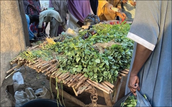 Stakeholders' Perspectives on Food Safety in Kebbi State, Nigeria