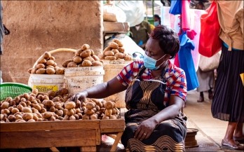 Vendor Knowledge, Attitudes, and Practices Related to Food Safety in Low- and Middle-Income Countries: A Scoping Review 