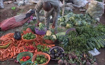 Analysis of Food Safety Investments in Nigeria - A Review