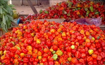 Food Safety Perspectives and Practices of Consumers and Vendors in Nigeria: A Review