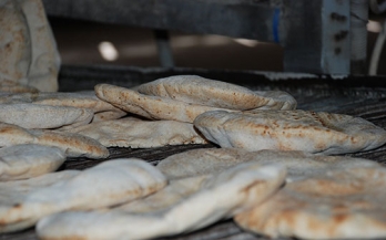 Performance of iron spot test with Arabic bread made from fortified white wheat flour