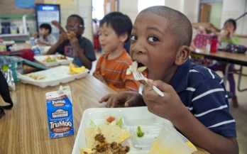 GAIN Working Paper Series 7 - Nutritious food procurement in cities in low and middle income countries 