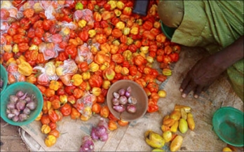 Literature Review Linking Food Safety and Nutrition