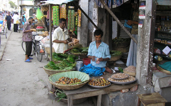 GAIN Working Paper Series 14 - Selling to the world's poorest - the potential role of markets in increasing access to nutritious foods