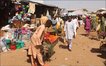 Occurrence of Foodborne Hazards in Foods and Beverages Consumed in Nigeria - A Systematic Literature Review